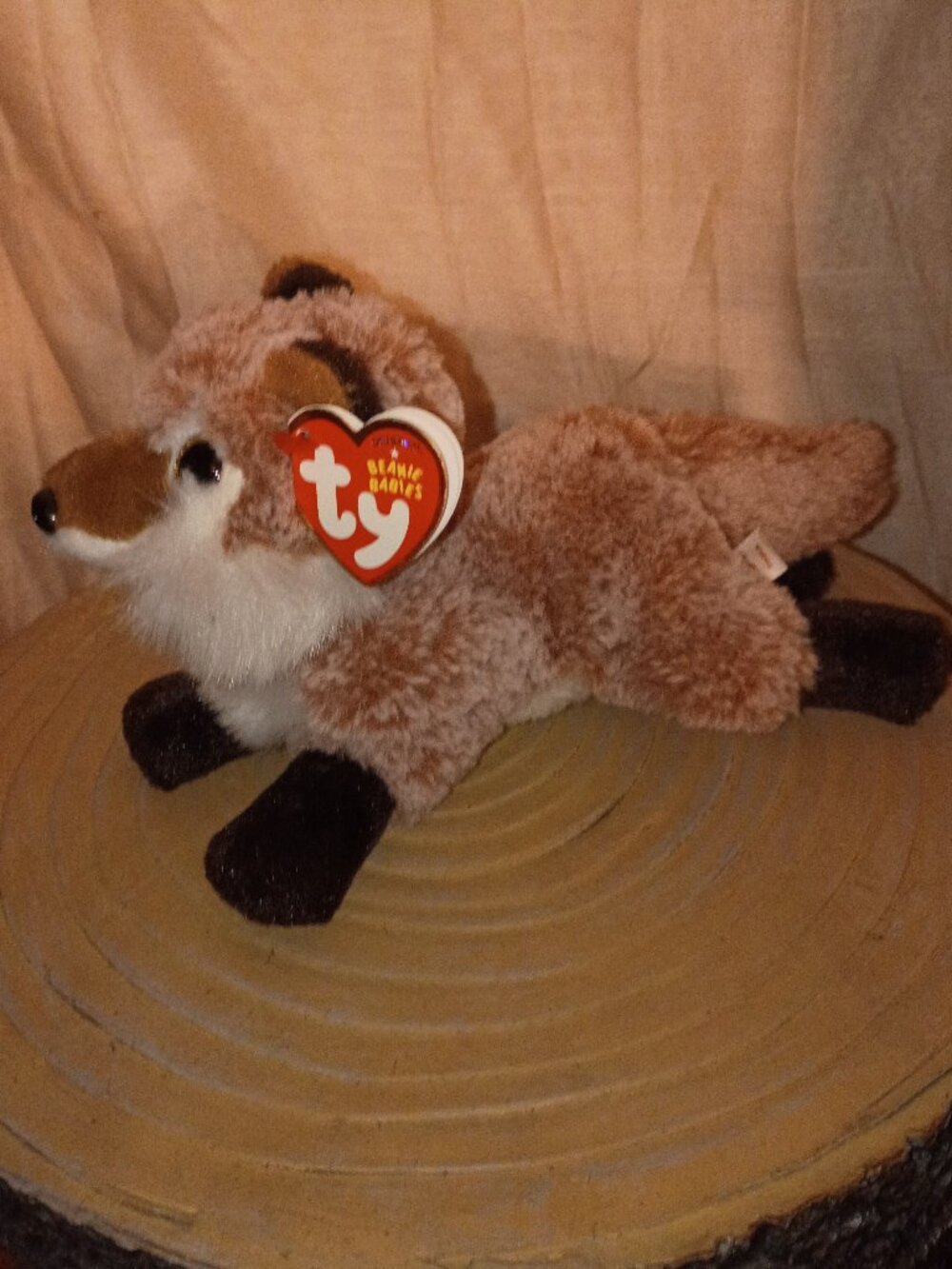 Ty Beanie Baby Fredrick the Fox NWT!